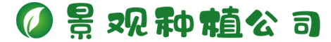 www.955526.com